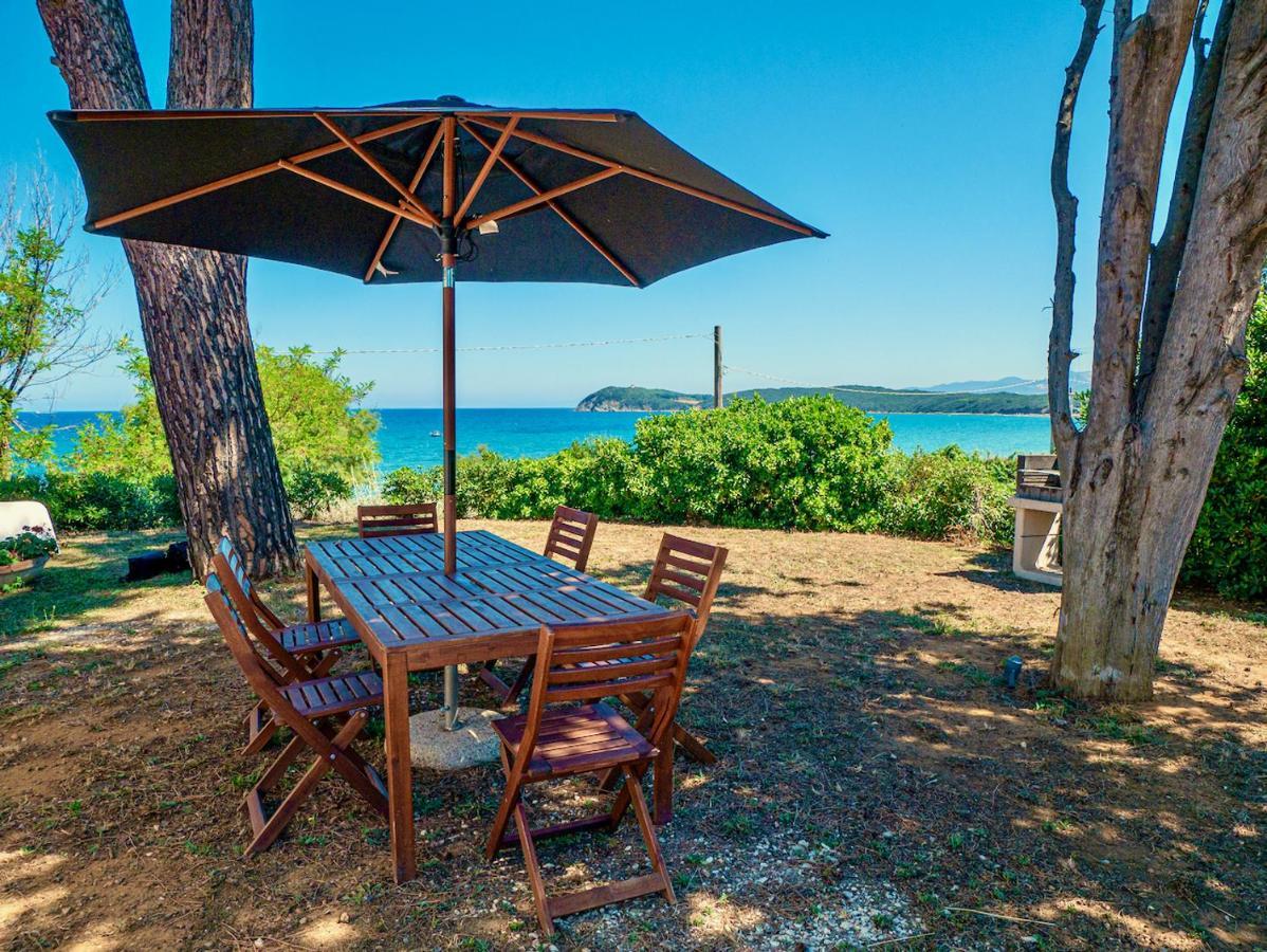 Villa Tanaquilla Baratti Zewnętrze zdjęcie